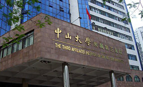 成功案例